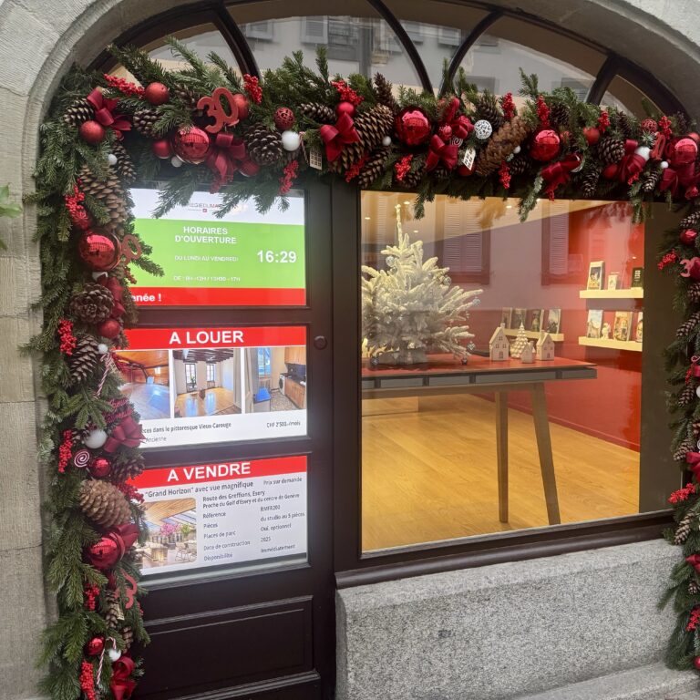 Ecran vitrine d'une régie immobilière