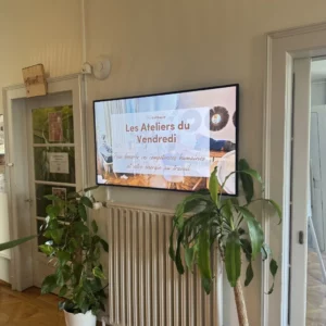 Ecran intérieur publicitaire Balthasar